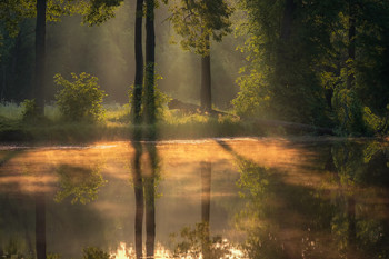 Солнце встало / Утро на Барском пруду в Середниково