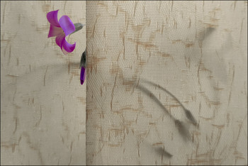 пролюпины / ***