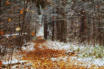 Между Осенью и Зимой / Балашиха