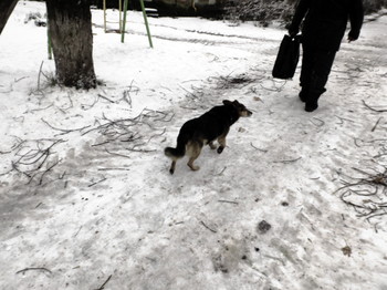 Старость / 2015-11-06-159-C0-036(80)


[img]https://i.imgur.com/OAyYd8G.jpg[/img]


[img]https://i.imgur.com/01UdYtM.jpg[/img]