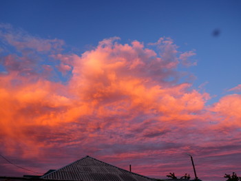 небо вечером / июнь небо