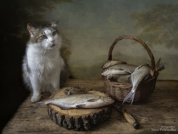 Портрет кота Лёвы с рыбой / - Это все - мне?