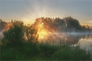 Анатомия рассвета. Туман / Рассвет на речке Чернихе