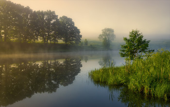 Еще одно летнее утро. / Рассвет на лесном озере.