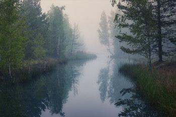 Затерявшись в тумане. / Одно из лесных озер Суворовского района, Тульской обл.