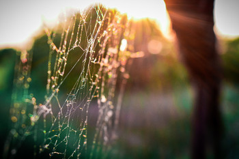 На закате дня / ***