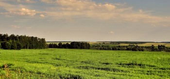 Июльская сельская панорама / Июльская сельская панорама