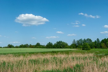 Равнинная местность / Голубое небо и белое облако над полем