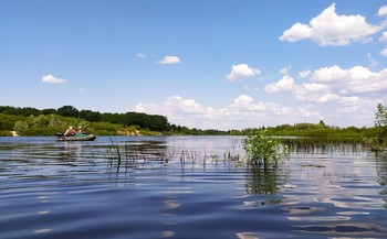 Рыбалка летняя / Рыбалка летняя