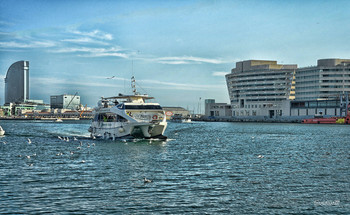 Морской порт Барселоны. / Чайки,море,зима.