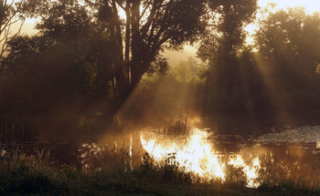 Утро / Утром на речке