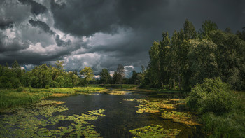 Landscape before a thunderstorm. / Landscape before a July thunderstorm. Russia.