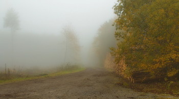 Вспоминая осень .... / Осеннее утро в лесу . Пейзаж .
