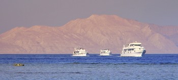 В сопровождении вдоль берегов Египта / В сопровождении вдоль берегов Египта