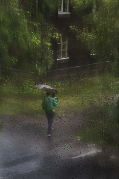 Летний дождь / Из окна