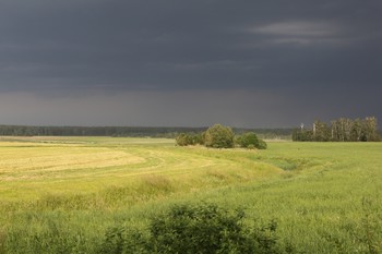 краски лета перед грозой / Беларусь