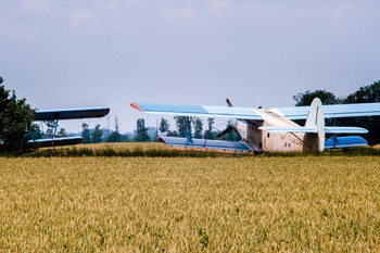 Сельхозавиация на полях Кубани / Самолёты Ан-2 на полевом аэродроме около пос. Алексее-Тенгинской. Лето 2020
