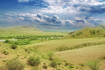У реки Орхон летом / Июнь 2020г, Орхон аймак (Монголия)