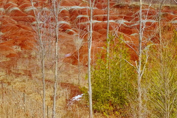 Ontario Badlands / Так это называется. Не знаю, как это коротко по-русски -- земли, подвергшиеся эррозии, горы, пригорки, с которых вымывается почва, остается только грунт. Но черт, .. он красивый! В Онтарио такое тоже есть (обычно, мы привыкли к таким пейзажам запада США).