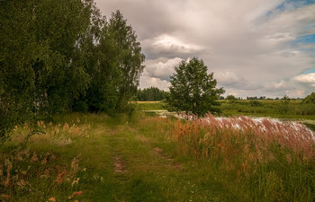 Летняя прогулка / Летняя прогулка