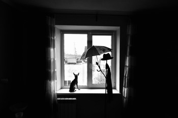 Арчи и незнакомец / Когда летом идёт дождь, остается только за этим наблюдать из внутри.