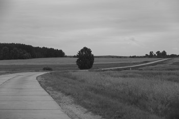 дорога / Беларусь