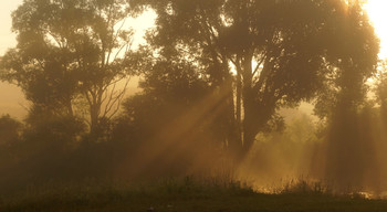 Утро на реке / Лучи сквозь дымку тумана