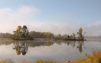 Утро на лесном озере / ***