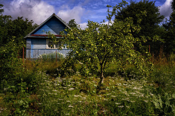 Яблонька перед голубым домиком / Описание*