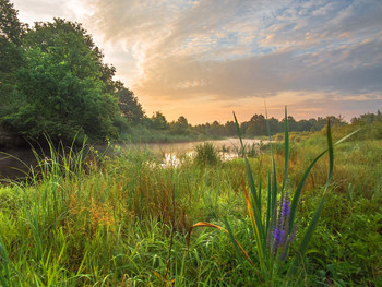 После тёплой ночи / р. Уборть, Беларусь,июль 2020