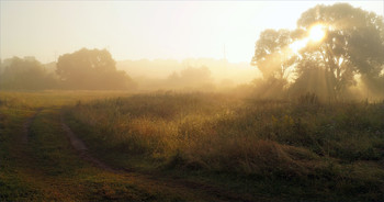 Июльское утро / На лугу у речки