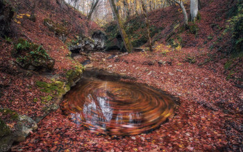 Рыжая круговерть... / Адыгея, верховья ручья Фарс, ноябрь.