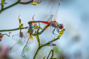 &nbsp; / Paseo fotográfico.