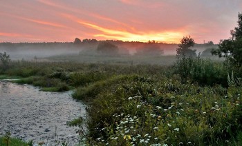 Вечер туманный / Вечер туманный