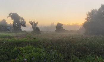 У деревни на краю... / Деревенские рассветы