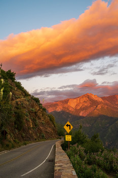 last turn to sunset / Sequoia National Park, USA