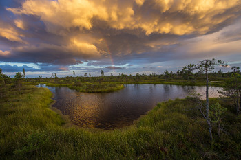 И пролилась тучка радугой / Балтика