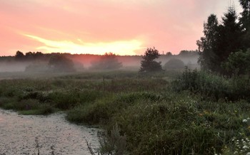 Вечерняя заря в Полесье / Вечерняя заря в Орловском Полесье