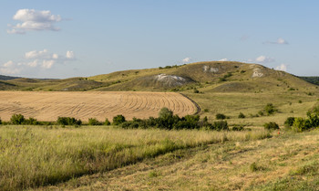 Ульяновские просторы / Фото сделано проездом у автотрассы Ульяновск - Саратов