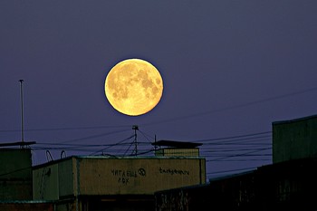 Moonlight night / Однажды прошлым летом Луна подошла к Земле совсем близко