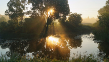 Летнее утро на реке / Речка Тёша