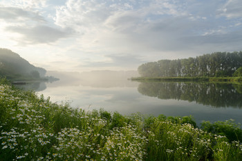 Утро у пруда / Июнь,Курская область.