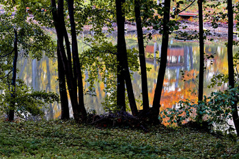 Осенних красок отражение. / Вокруг пруда ещё в наряде зелёном стоят деревья ,
 а в водной глади- уже осенних красок отражение...