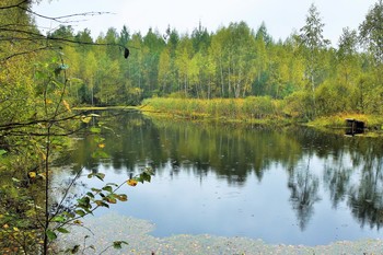 &quot;Незабвенный, родной... запах воздуха после дождя ...&quot; / &quot;А бывает, некстати, и так невзначай
 Разольется свежестью рядом,
 Незабвенный, родной, ноткой грусти томя,
 Запах воздуха после дождя ...&quot;