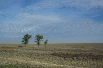 Степной минимализм / Фото сделано в степи Волгоградской обл.