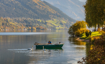 Совместная рыбалка - лебеди и рыбак. / Целлерское озеро. Австрия.