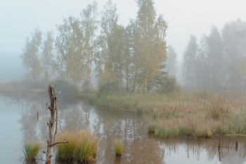туман на озере / Подмосковье, осенние туманы