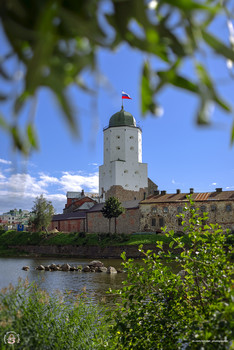 Выборгский замок / г. Выборг, 29 августа 2020 года.
Фотограф: Анастасия Белякова