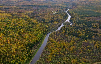Таёжные реки: Елогуй / Мимолётное...
Красноярский Север. Река Елогуй — левый приток Енисея.