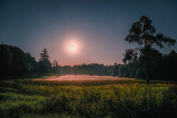 Полнолуние над Филькиным озером. Приоратский парк, Гатчина. / Полнолуние начала осени.
